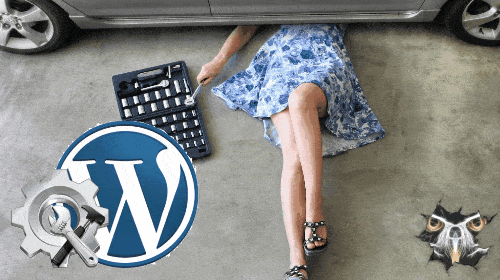 THE DISADVANTAGES OF UPGRADING WORDPRESS!