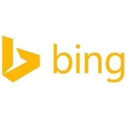 BING KEYWORD MONITORING