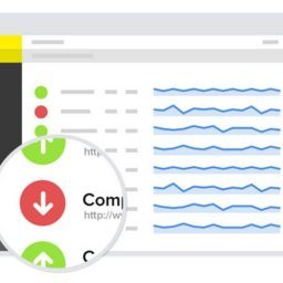 WORDPRESS MONITORING