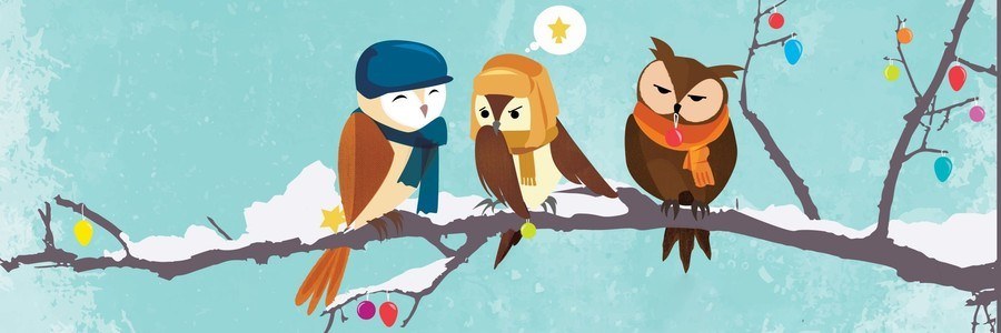 HAPPY OWLIDAYS FOR ALL WORDPRESS OWNERS!