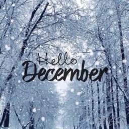 DECEMBER