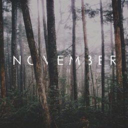 NOVEMBER