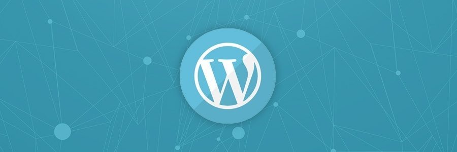 6 WORDPRESS CONSULTING ADVICE FOR YOUR ENDLESS WP PLUGINS GALORE